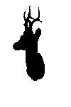 masked image of object on pattern