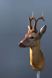 raytraced object